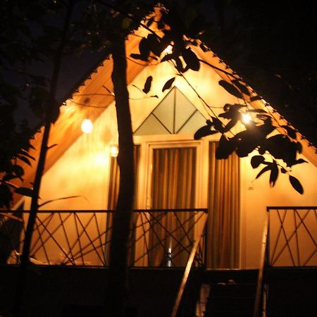 Wood Castle Munnar Guest House Ngoại thất bức ảnh