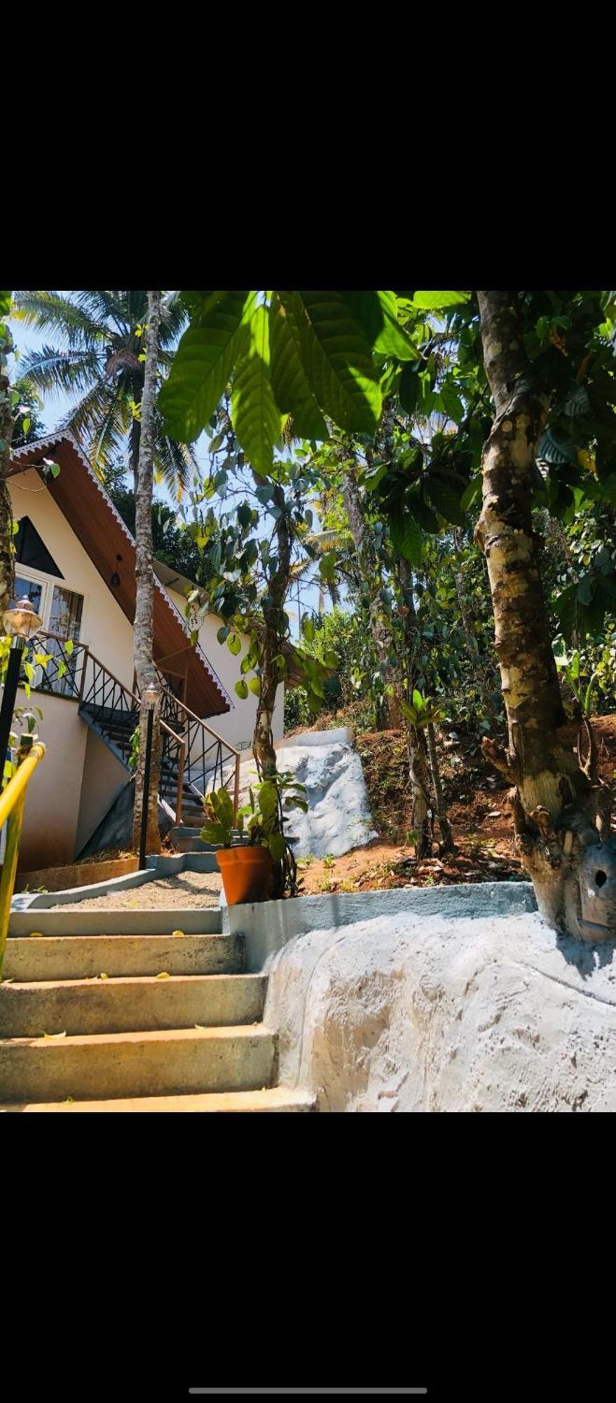 Wood Castle Munnar Guest House Ngoại thất bức ảnh